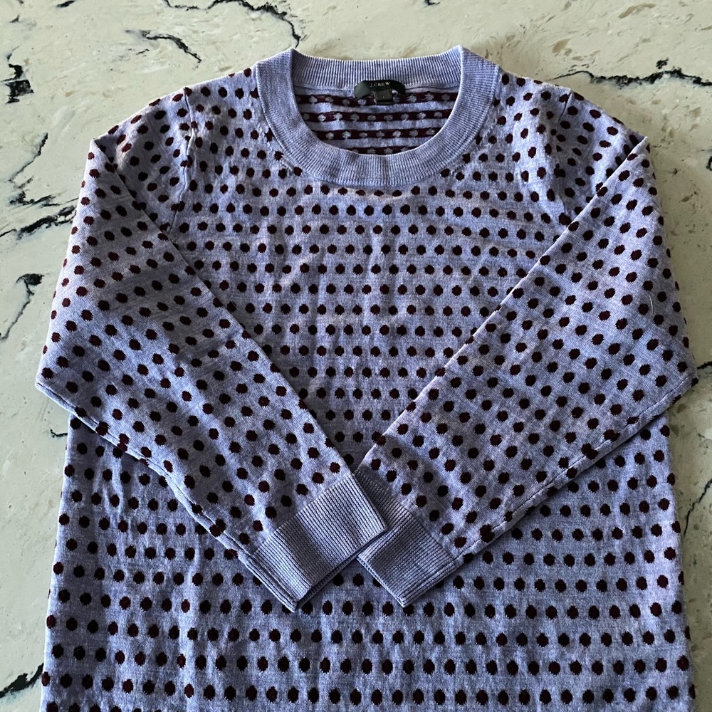 EUC JCrew tippi sweater